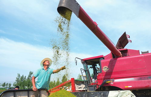 構筑生態(tài)宜居家園，推動谷物銷售新篇章
