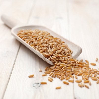 大米、雜糧與化肥 了解我們的日常主食